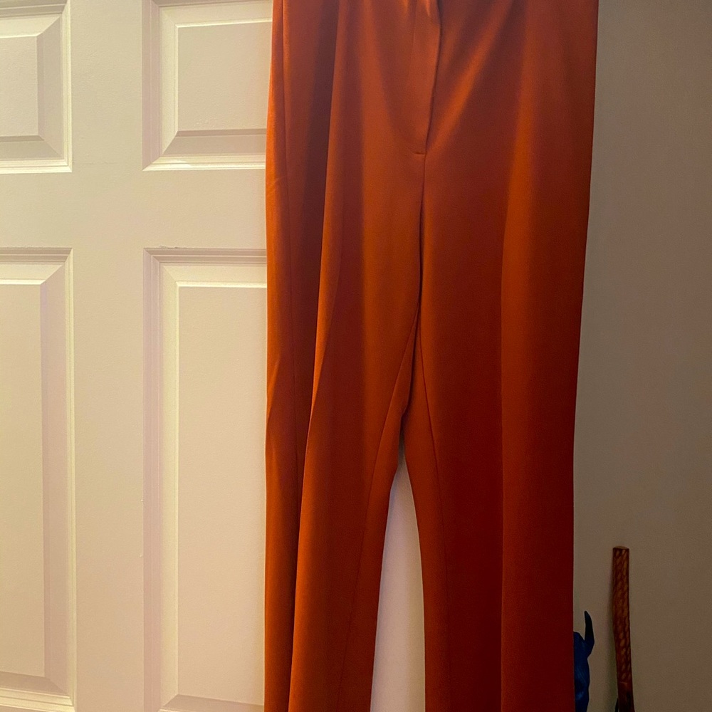 DKNY brand new rust color slacks